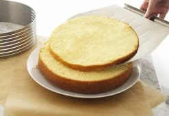 Cheap ✔️ Layer Cake Slicing Kit by Frieling USA, Inc. ⭐ 8 Cheap ✔️ Layer Cake Slicing Kit by Frieling USA, Inc. ⭐ -Cheap Home Store 201800 z3