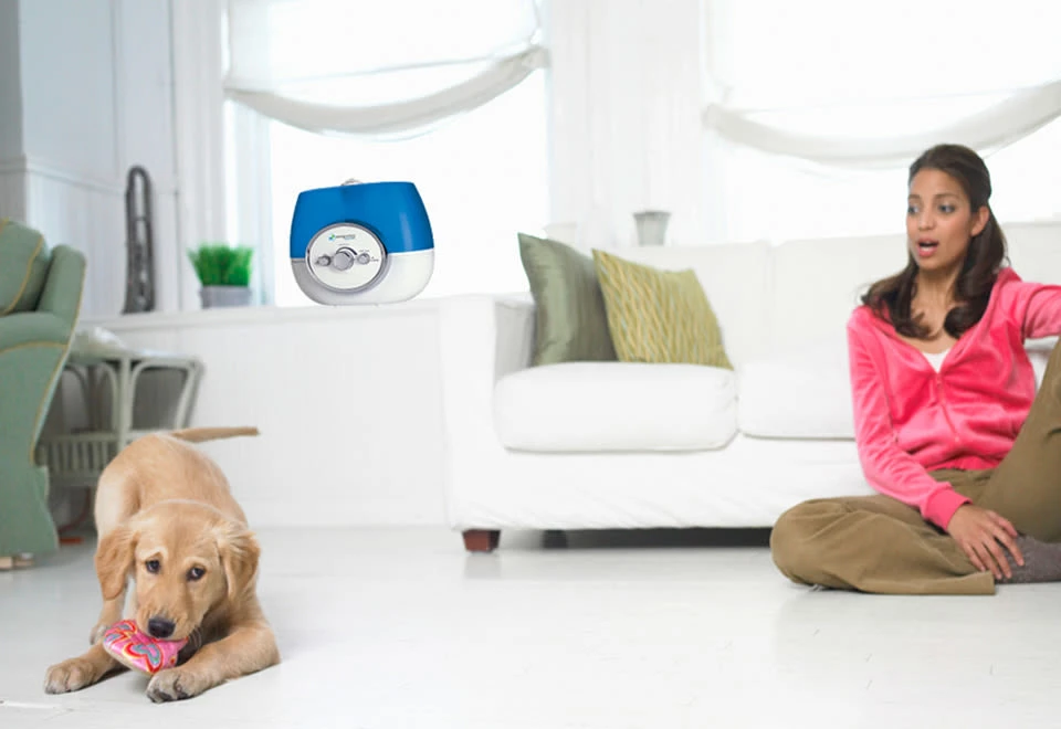 Flash Sale π Warm And Cool Mist Humidifier by Guardian Technologies, LLC π 5 Flash Sale π Warm And Cool Mist Humidifier by Guardian Technologies, LLC π - Image 5