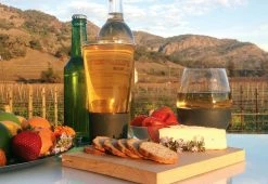 Promo 🎉 The First Self Chilling Glassware (Set of 2) by Soiree Company/CME, Inc. 💯 -Cheap Home Store 203412 z3