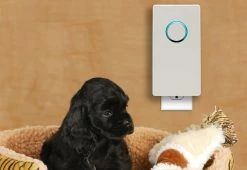 Best Sale ✔️ UV-C Plug-In Air Sanitizer by Guardian Technologies, LLC 🔔 -Cheap Home Store 204217 z5