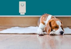 Best Sale ✔️ UV-C Plug-In Air Sanitizer by Guardian Technologies, LLC 🔔 -Cheap Home Store 204217 z8