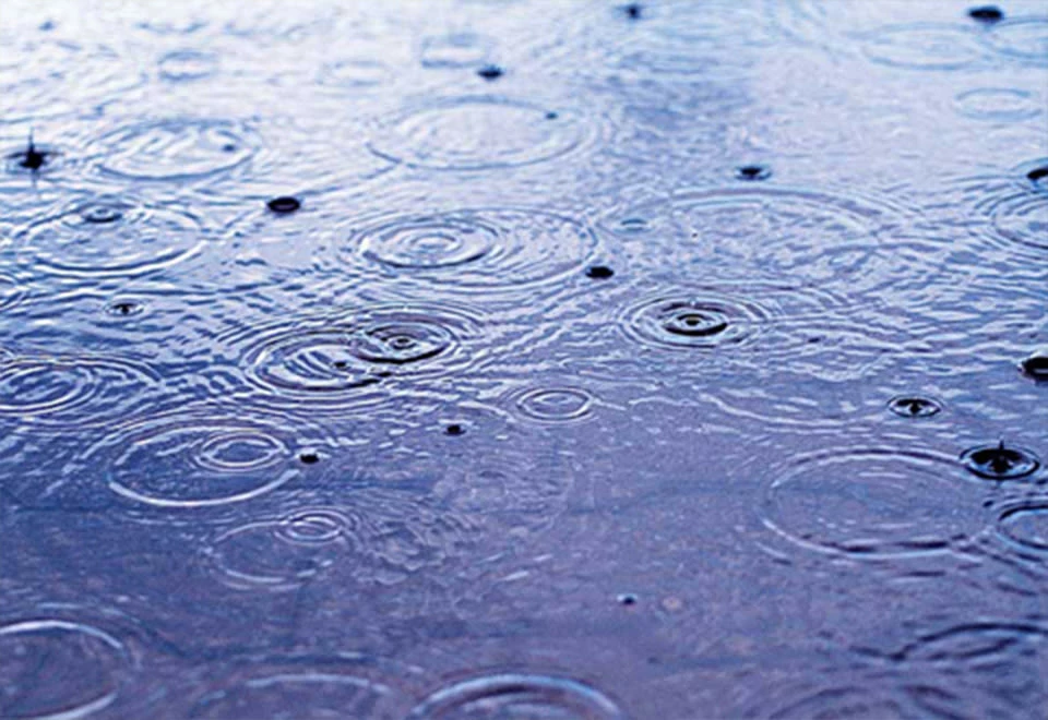 Buy π₯° Sound Soother White Noise Machine by Sharper Image β 10 Buy π₯° Sound Soother White Noise Machine by Sharper Image β - Image 10