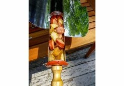 Buy ❤️ Portable Solar Cooker by Go Sun Stove 🔔 -Cheap Home Store 205175 z4