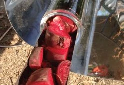 Buy ❤️ Portable Solar Cooker by Go Sun Stove 🔔 -Cheap Home Store 205175 z7