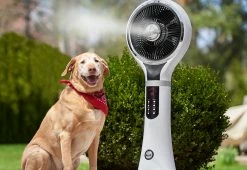 Flash Sale π― Portable Evaporative Cooler by Sharper Image π 19 Flash Sale π― Portable Evaporative Cooler by Sharper Image π -Cheap Home Store 206051 z5