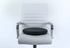 Best deal ⭐ 360-Degree Swivel Cushion by Sharper Image 🎁 -Cheap Home Store 206101 z4