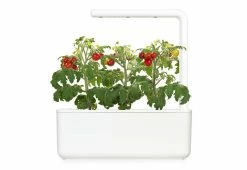 Best reviews of ⭐ Extra Pods for the World's Smartest Indoor Garden (3-Pack) by Click and Grow US Inc. 🎁 -Cheap Home Store 206144 z5