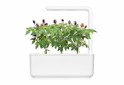 Best reviews of ⭐ Extra Pods for the World's Smartest Indoor Garden (3-Pack) by Click and Grow US Inc. 🎁 -Cheap Home Store 206144 z7