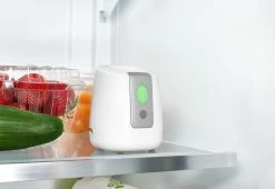 Budget 🌟 Fridge Air Purifier by GreenTech Environmental, LLC 🛒