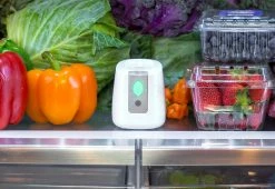 Budget π Fridge Air Purifier by GreenTech Environmental, LLC π 13 Budget π Fridge Air Purifier by GreenTech Environmental, LLC π -Cheap Home Store 206649 z6