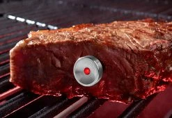 Cheapest 👍 Intelligent Steak Thermometer by TecPoint USA 🔔