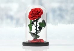 Discount ⭐ Timeless Rose by Sharper Image 🤩