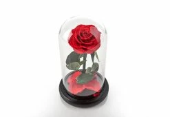 Discount ⭐ Timeless Rose by Sharper Image 🤩 -Cheap Home Store 206926 z5