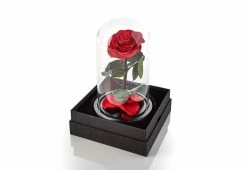 Discount ⭐ Timeless Rose by Sharper Image 🤩 -Cheap Home Store 206926 z9