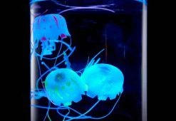 New β€οΈ Jellyfish Aquarium by Sharper Image π 16 New β€οΈ Jellyfish Aquarium by Sharper Image π -Cheap Home Store 206941 z4