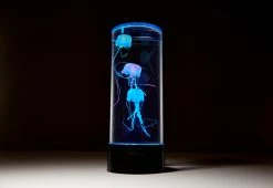 New β€οΈ Jellyfish Aquarium by Sharper Image π 17 New β€οΈ Jellyfish Aquarium by Sharper Image π -Cheap Home Store 206941 z5