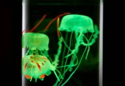 New β€οΈ Jellyfish Aquarium by Sharper Image π 18 New β€οΈ Jellyfish Aquarium by Sharper Image π -Cheap Home Store 206941 z6