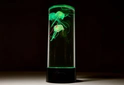 New β€οΈ Jellyfish Aquarium by Sharper Image π 19 New β€οΈ Jellyfish Aquarium by Sharper Image π -Cheap Home Store 206941 z7