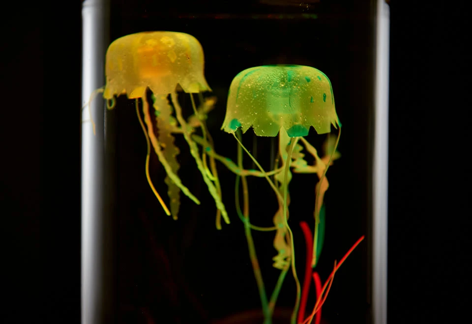 New β€οΈ Jellyfish Aquarium by Sharper Image π 8 New β€οΈ Jellyfish Aquarium by Sharper Image π - Image 8