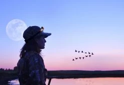 New π― Multi-Purpose LED Headlamp by BISS Product Development, LLC π 25 New π― Multi-Purpose LED Headlamp by BISS Product Development, LLC π -Cheap Home Store 206971 z13