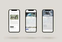 Brand new 🎁 Augmented Reality 3D Earth by Quantum AR Technologies ✔️ -Cheap Home Store 206980 z11