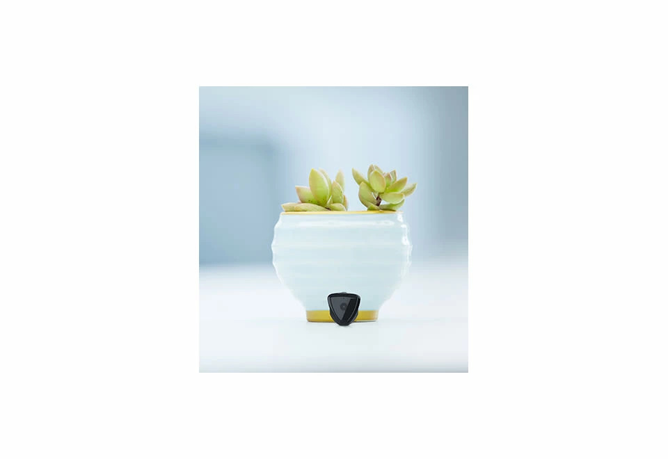 Discount π Discreet Day/Night Vision Camera by Pred Technologies USA Inc β€οΈ 8 Discount π Discreet Day/Night Vision Camera by Pred Technologies USA Inc β€οΈ - Image 8