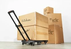 Coupon β Adjustable Fold Flat Cart by Viatek Consumer Products Group π―