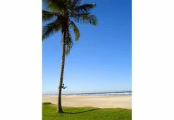 Wholesale 🤩 Solar LED Flagpole Light by Maxsa Innovations ❤️ -Cheap Home Store 207298 z7