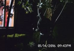 Coupon 👍 Solar Security Video Camera and Floodlight by Maxsa Innovations 💯 -Cheap Home Store 207311 z4