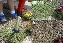 Buy ✔️ Chemical-Free Weed Killer by Viatek Consumer Products Group 🥰 -Cheap Home Store 207416 z3