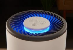 Best Sale 🎁 Mist-Free Humidifier by Bear Down Brands, LLC 🧨