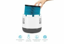 Best Sale 🎁 Mist-Free Humidifier by Bear Down Brands, LLC 🧨 -Cheap Home Store 207502 z4