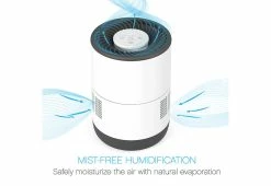 Best Sale 🎁 Mist-Free Humidifier by Bear Down Brands, LLC 🧨 -Cheap Home Store 207502 z6