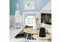 Best Pirce 🎁 Easy Top-Fill Humidifier by Bear Down Brands, LLC 🛒 -Cheap Home Store 207511 z7