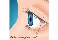 Brand new π Dry Eye Therapy Mask by Please Me LLC β 13 Brand new π Dry Eye Therapy Mask by Please Me LLC β -Cheap Home Store 207573 z4