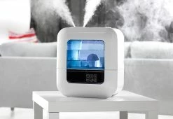 Best reviews of 🛒 Self-Cleaning Humidifier by Boneco North America Corp 🎁