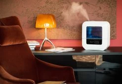 Best reviews of 🛒 Self-Cleaning Humidifier by Boneco North America Corp 🎁 -Cheap Home Store 207661 z9