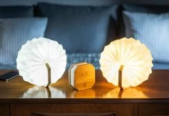Budget 🤩 Foldable Accordion Lamp by Gingko Design Ltd. 😍 -Cheap Home Store 207666 z15