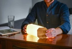 Budget 🤩 Foldable Accordion Lamp by Gingko Design Ltd. 😍 -Cheap Home Store 207666 z6