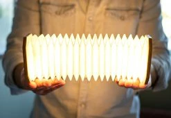 Budget 🤩 Foldable Accordion Lamp by Gingko Design Ltd. 😍 -Cheap Home Store 207666 z9