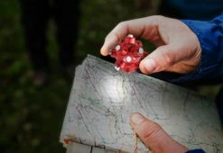 Cheapest 🔥 Magnetized Mini Lights (Set of 5) by BISS Product Development, LLC 🎉 -Cheap Home Store 207748 z5