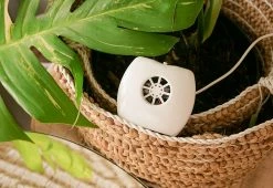 Hot Sale 💯 Negative Ion Generator by IonPacific LLC 😉 -Cheap Home Store 207759 z14