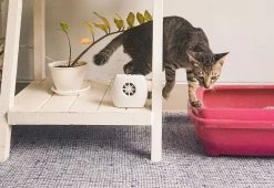 Hot Sale 💯 Negative Ion Generator by IonPacific LLC 😉 -Cheap Home Store 207759 z7