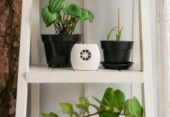 Hot Sale 💯 Negative Ion Generator by IonPacific LLC 😉 -Cheap Home Store 207759 z8