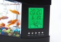 Flash Sale ⌛ Desktop Aquarium by MI - GHD Manufacture Co., Ltd. 👍 -Cheap Home Store 207813 z3