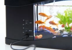 Flash Sale ⌛ Desktop Aquarium by MI - GHD Manufacture Co., Ltd. 👍 -Cheap Home Store 207813 z4