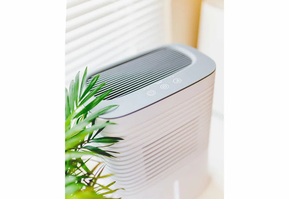 Wholesale π 4 Pint Dehumidifier by Crane USA, INC π 2 Wholesale π 4 Pint Dehumidifier by Crane USA, INC π - Image 2