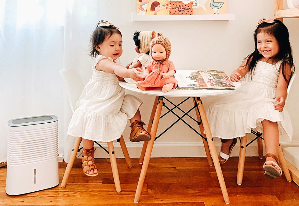 Wholesale π 4 Pint Dehumidifier by Crane USA, INC π 3 Wholesale π 4 Pint Dehumidifier by Crane USA, INC π - Image 3