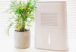 Wholesale π 4 Pint Dehumidifier by Crane USA, INC π 8 Wholesale π 4 Pint Dehumidifier by Crane USA, INC π -Cheap Home Store 207841 z4