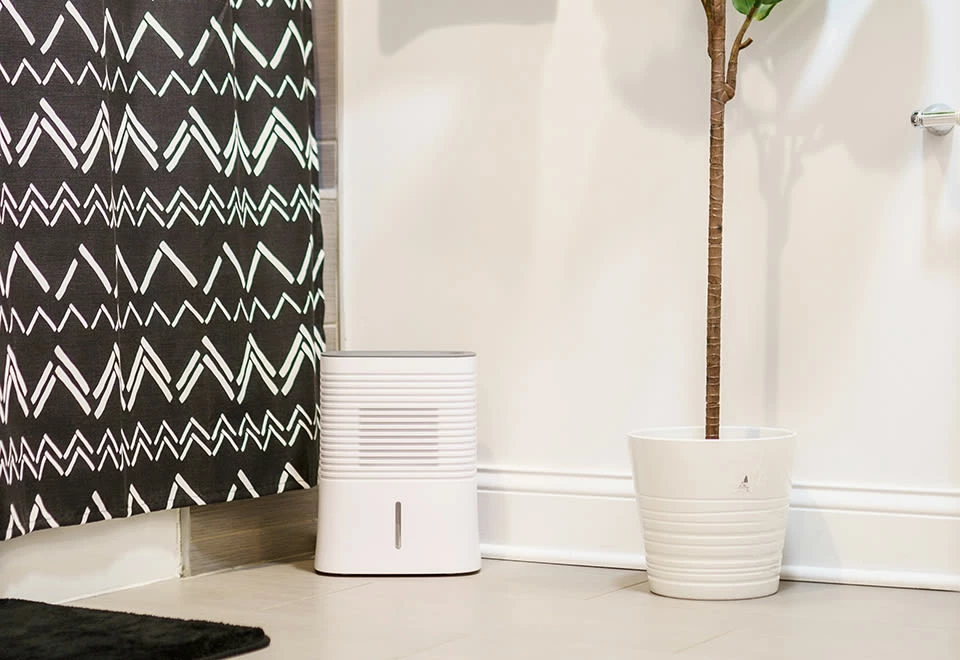 Wholesale π 4 Pint Dehumidifier by Crane USA, INC π 5 Wholesale π 4 Pint Dehumidifier by Crane USA, INC π - Image 5